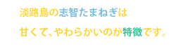 志智たまねぎは甘くて、やわらかいのが特徴です