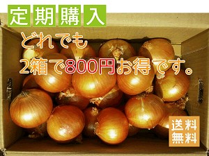 淡路島玉ねぎ 定期