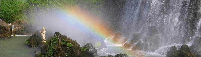 淡路島たまねぎのお客様の声